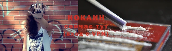 ГАЛЛЮЦИНОГЕННЫЕ ГРИБЫ Волосово