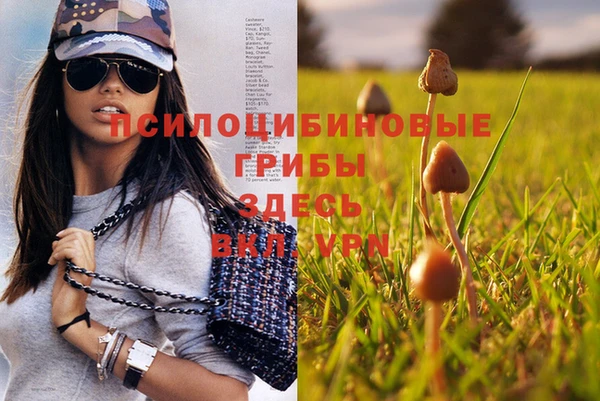 тгк Вязники