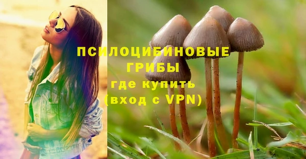 apvp Волоколамск
